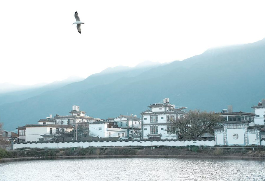 苍山沐光