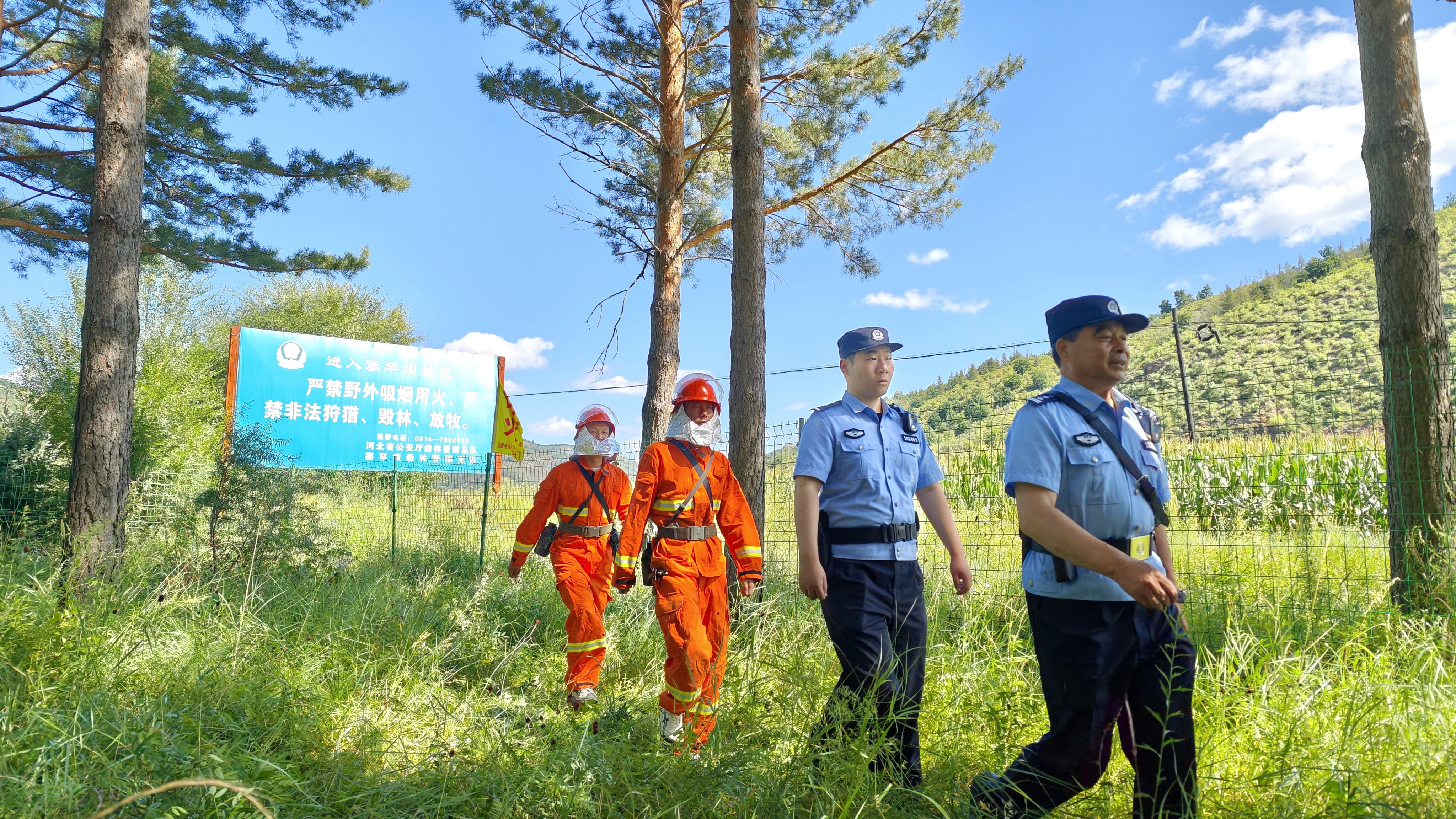 为了那片林海——河北公安塞罕坝森林警察巡护工作见闻